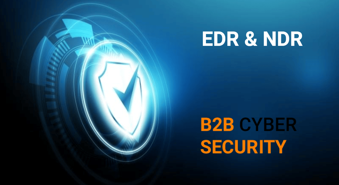 B2B Cyber Security Visual